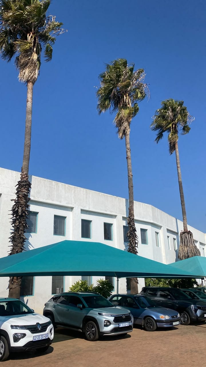 Tall trimmed palms standing above teal shade net carports and a white building